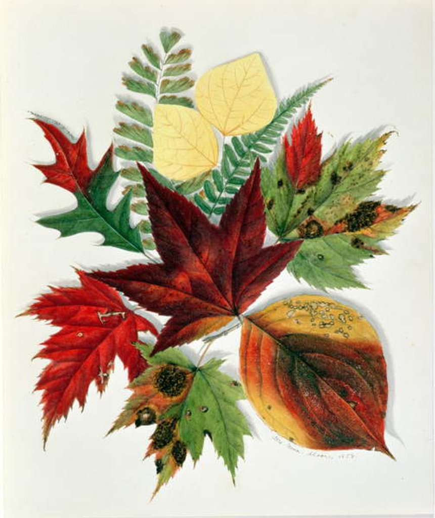 Detail of Autumn Leaves, 1858 by Nina Moore