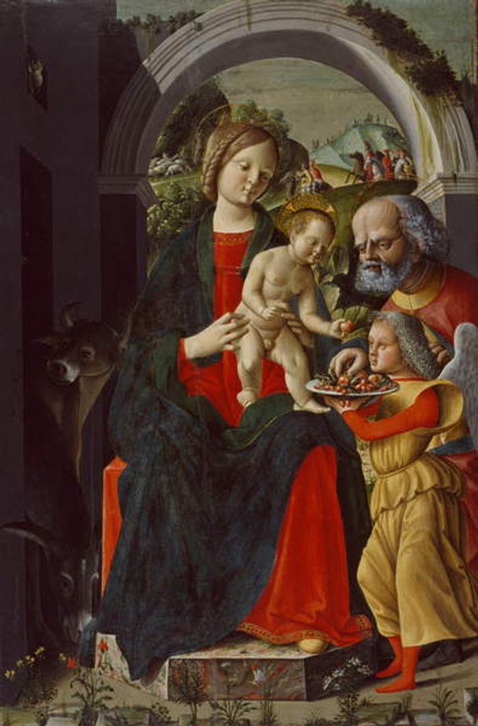 Detail of The Holy Family with an Angel, c.1485 by Baldassare di Matteo Carrari