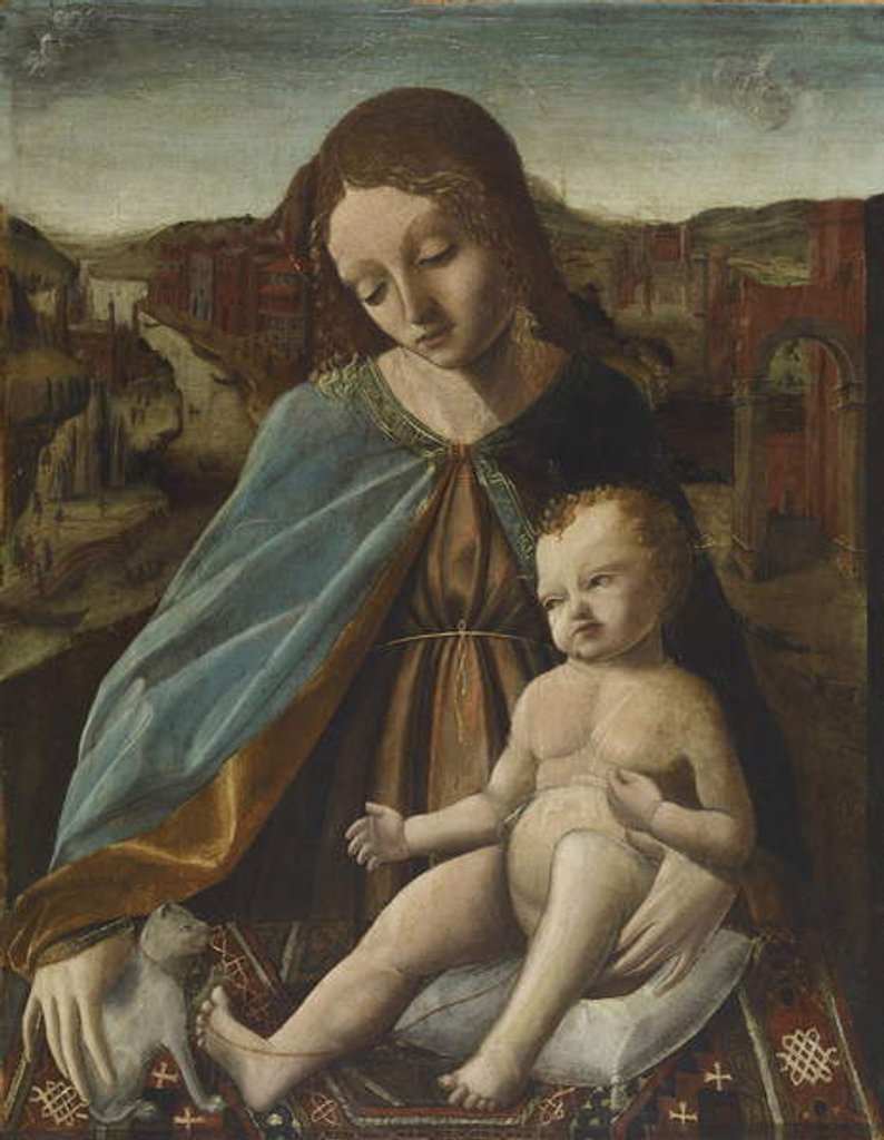 Detail of Madonna and Child with Cat, 1485-95 by Master of the Pala Sforzesca