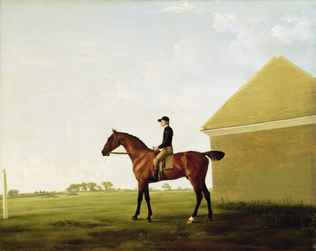 Detail of Turf, c.1765 by George Stubbs