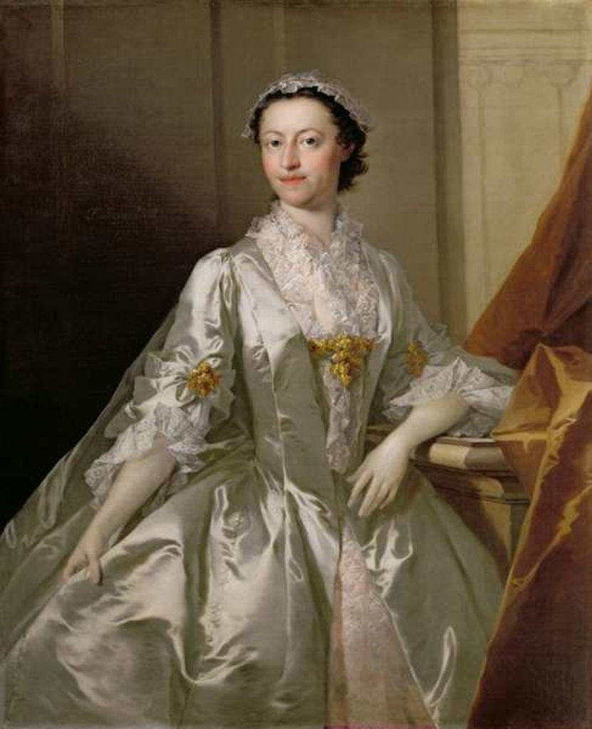 Detail of Mrs Wardle, 1742 by Thomas Frye