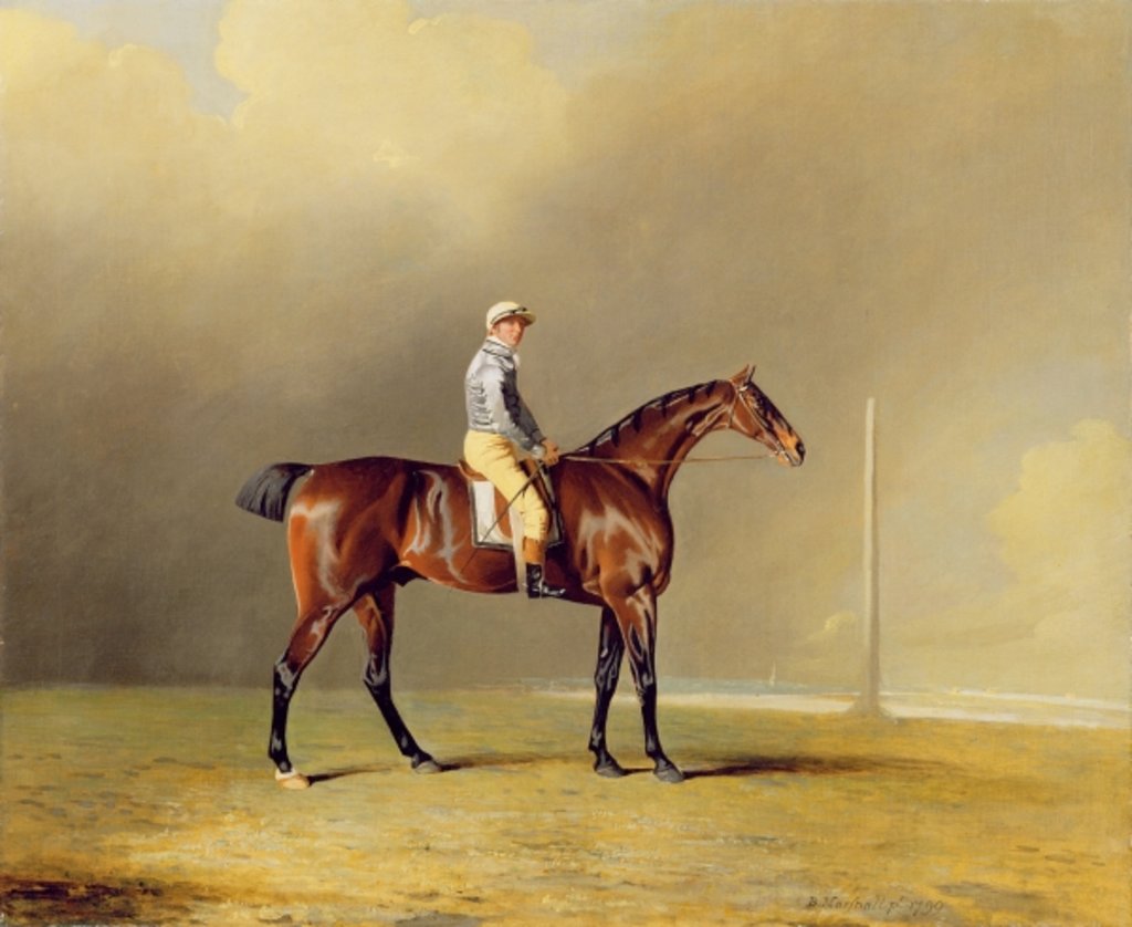 Detail of Diamond, with Dennis Fitzpatrick Up, 1799 by Benjamin Marshall