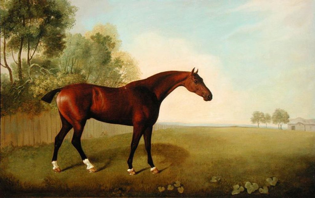 Detail of A Bay Horse in a Field, 1778 by John Boultbee