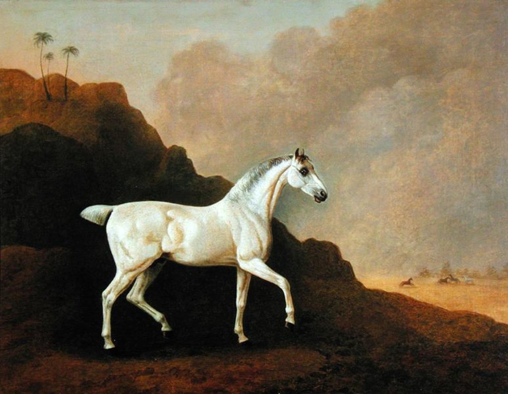 Detail of A Grey Arab Stallion in a Desert Landscape by John Boultbee