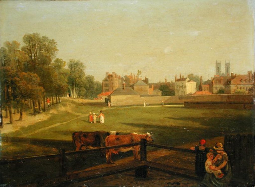 Detail of A Western View of Part of Westminster and Bird Cage Walk, from Mill House by George Arnald