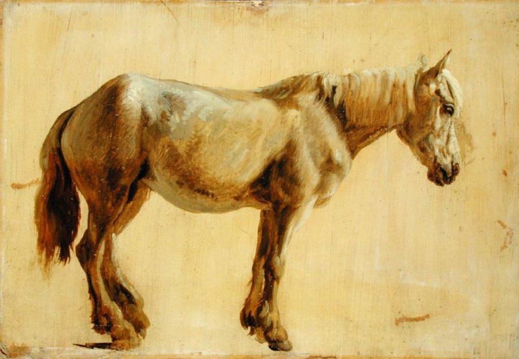 Detail of Study of a Grey Horse by Jacques-Laurent Agasse