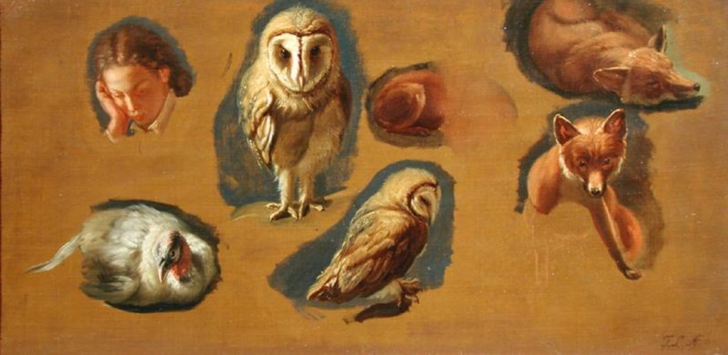 Detail of Studies of a Fox, a Barn Owl, a Peahen and a Young Man's Head by Jacques-Laurent Agasse