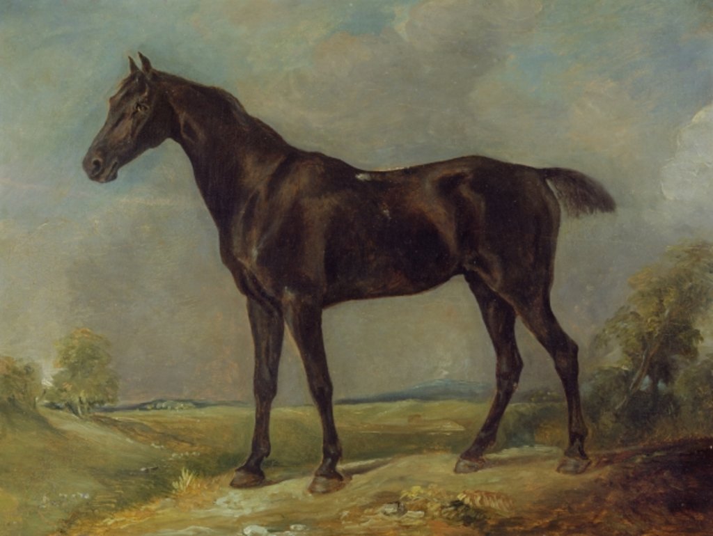 Detail of Golding Constable's Black Riding-Horse, c.1805-10 by John Constable