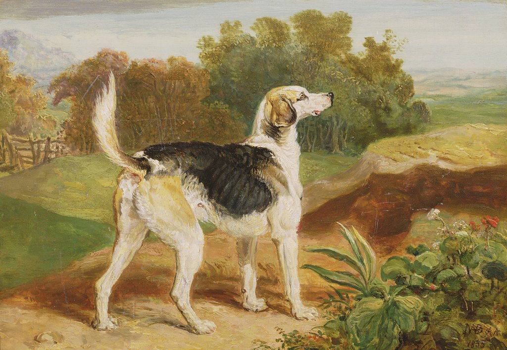 Detail of Ravager, one of the Lambton Hounds by James Ward