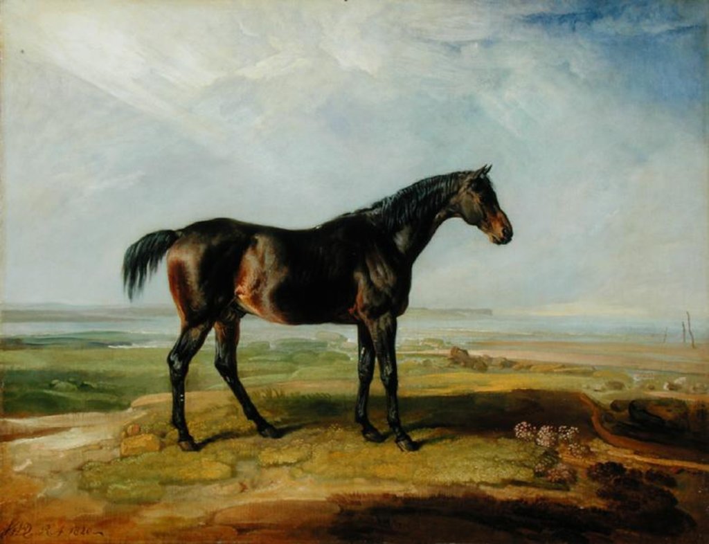 Detail of Dr. Syntax, a bay racehorse, standing in a coastal landscape, an estuary beyond by James Ward