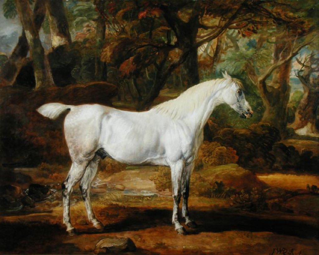 Detail of A Grey Arabian Stallion, the Property of Sir Watkin Williams-Wynn, c.1815-20 by James Ward