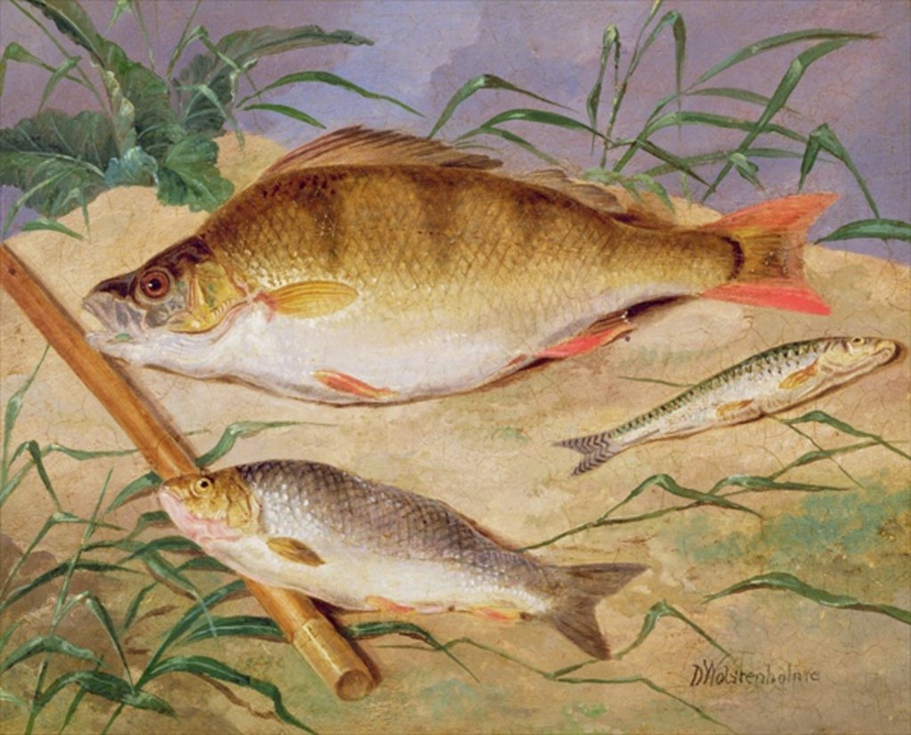 Detail of An Angler's Catch of Coarse Fish by D. the Younger Wolstenholme