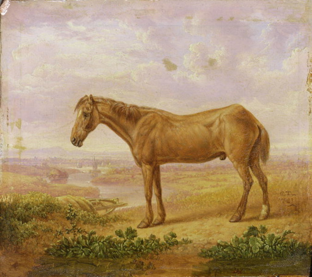Detail of Old Billy, a Draught Horse, Aged 62 by Charles Towne