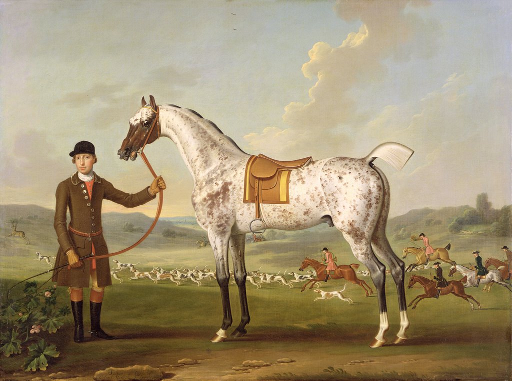 Detail of Scipio, Colonel Roche's Spotted Hunter, c.1750 by Thomas Spencer