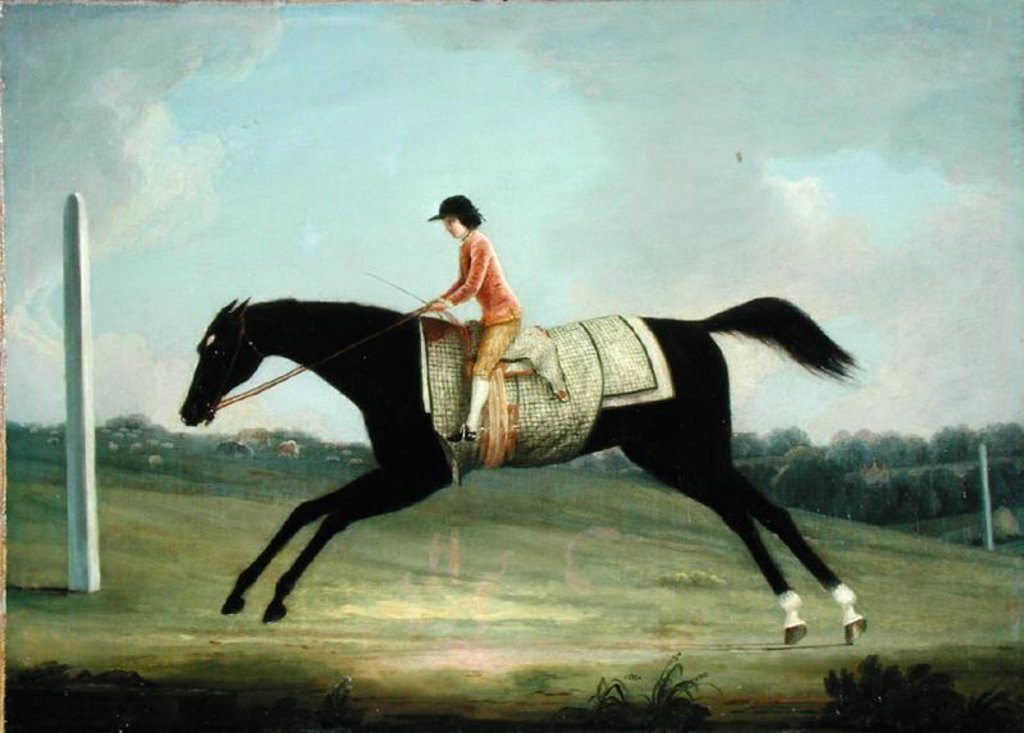 Detail of Borlase Cokayne as a Boy riding Sultana, 1751 by Thomas Smith of Derby