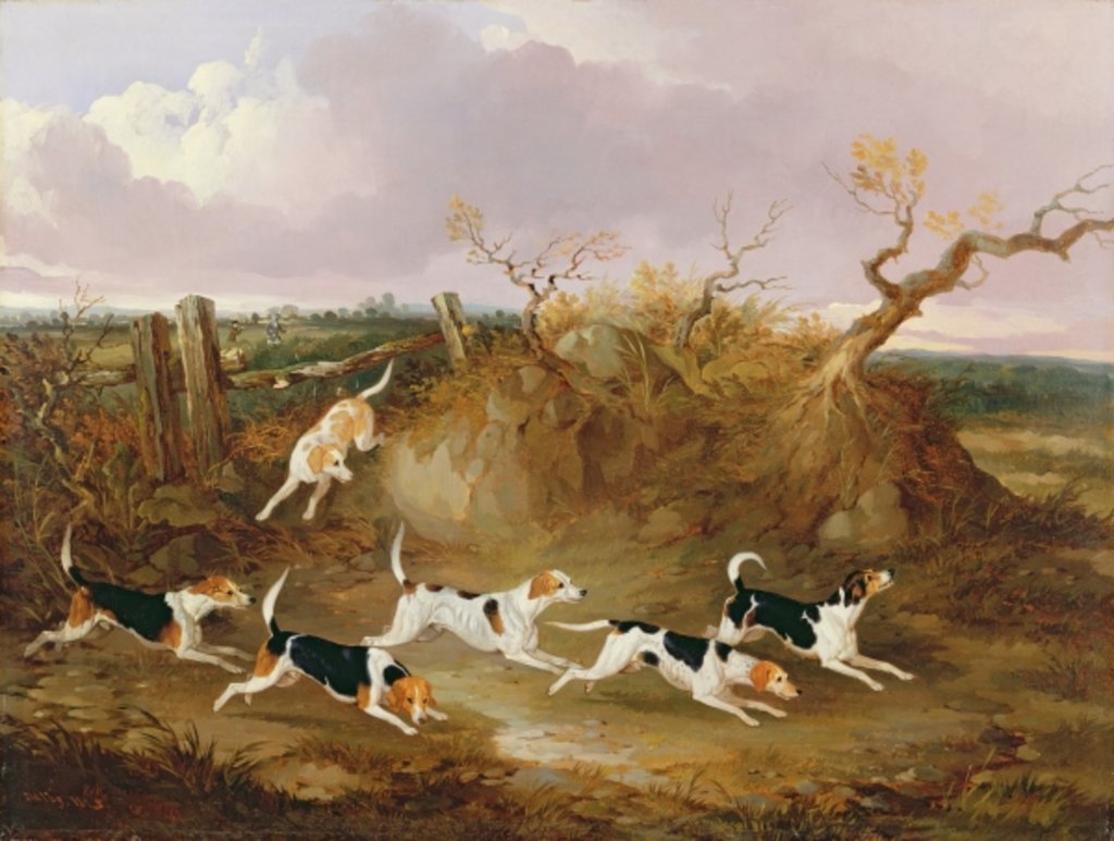 Detail of Beagles in Full Cry, 1845 by John Dalby