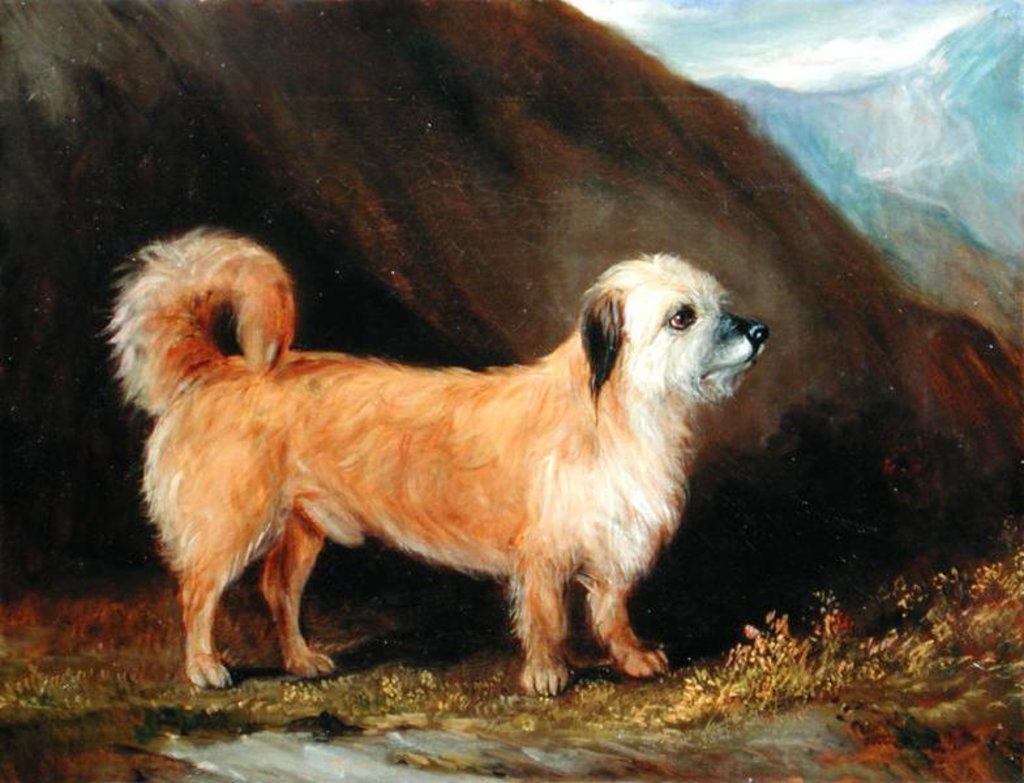 Detail of A Dandie Dinmont Terrier, 1848 by John E. Ferneley