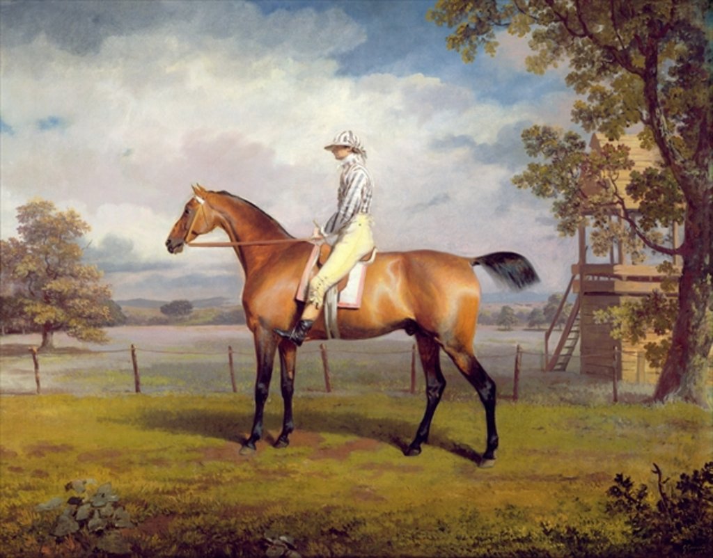 Detail of The Duke of Hamilton's Disguise with Jockey Up by George Garrard