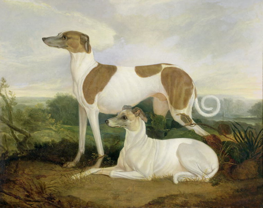 Detail of Two Greyhounds in a Landscape by Charles Hancock