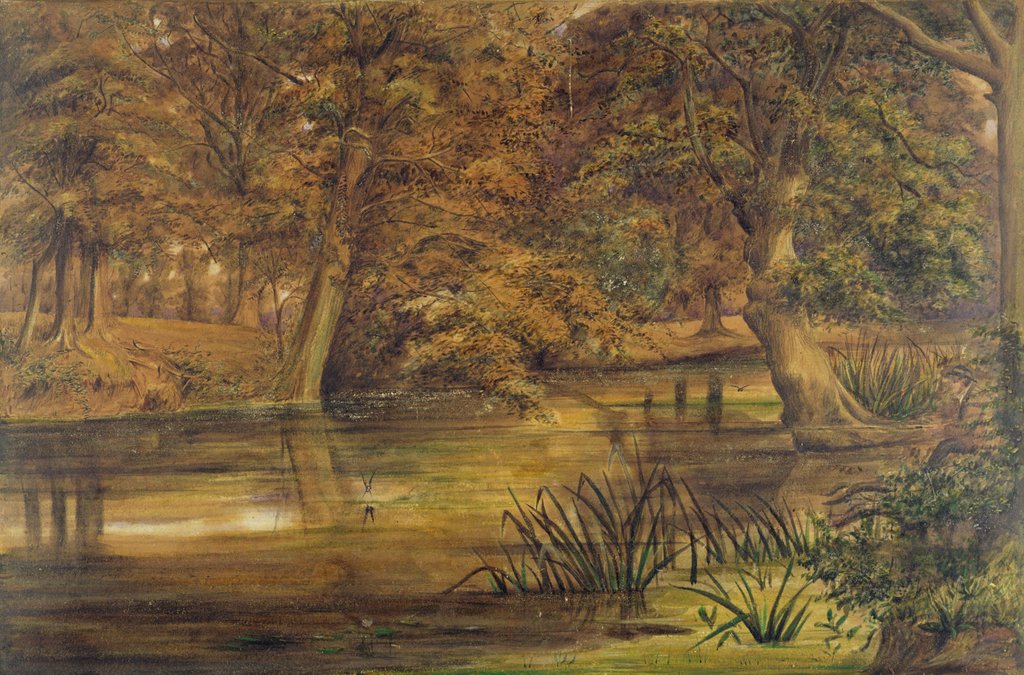 Detail of Back Water of the Bratford, 1864 by Edward W. Fitch