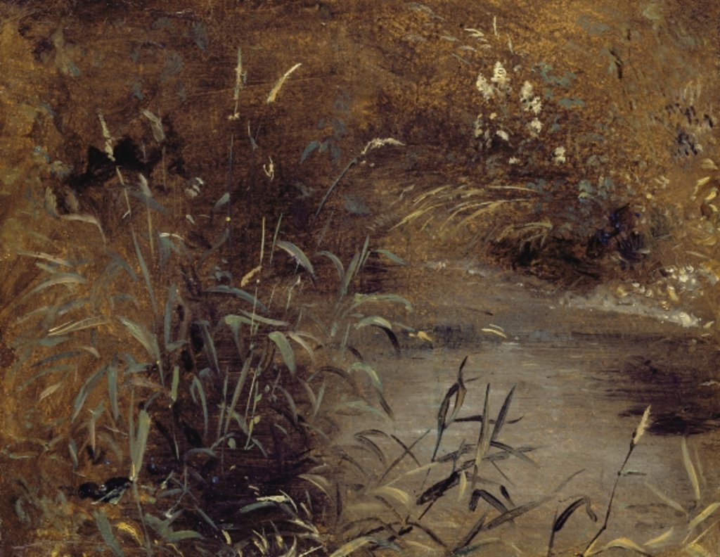 Detail of Rushes by a Pool, c.1821 by John Constable