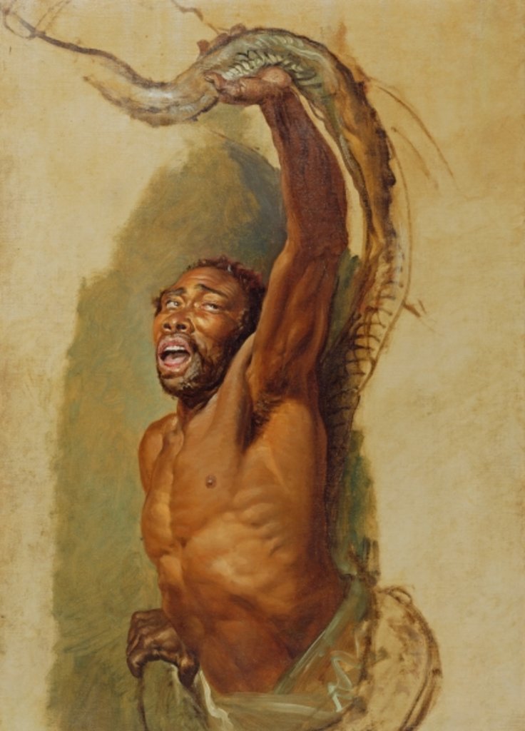 Detail of Man Struggling with a Boa Constrictor, Study for 'Liboya Serpent Seizing its Prey', c.1803 by James Ward
