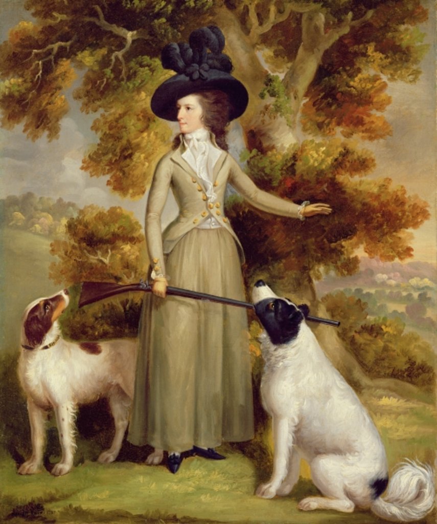 Detail of The Countess of Effingham with Gun and Shooting Dogs, 1787 by George Haugh