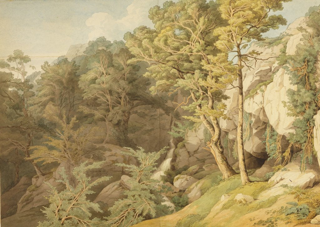 Detail of Canonteign, Devon, 1804 by John White Abbott