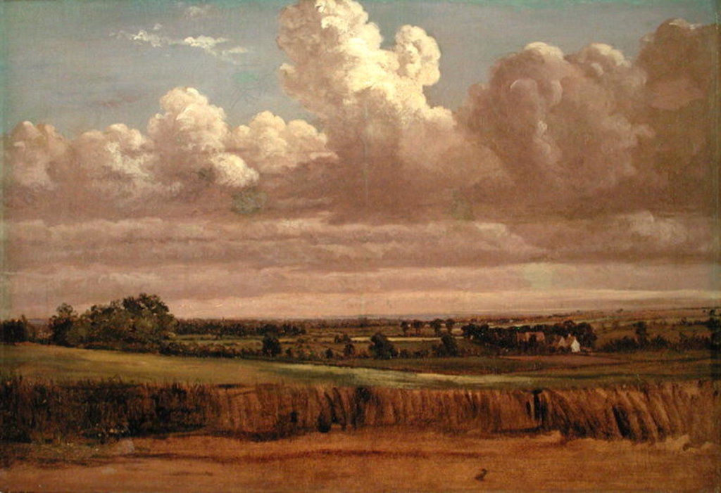 Detail of Landscape with Wheatfield, c.1850s by Lionel Constable