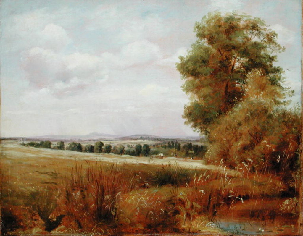 Detail of Landscape at Hampstead with Harrow in the Distance, c.1849-55 by Lionel Constable