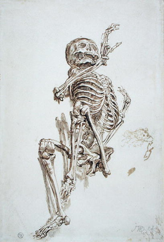 Detail of A Human Skeleton by James Ward
