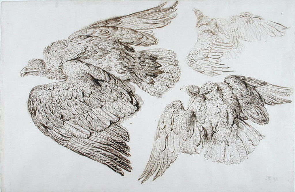 Detail of Eagles by James Ward