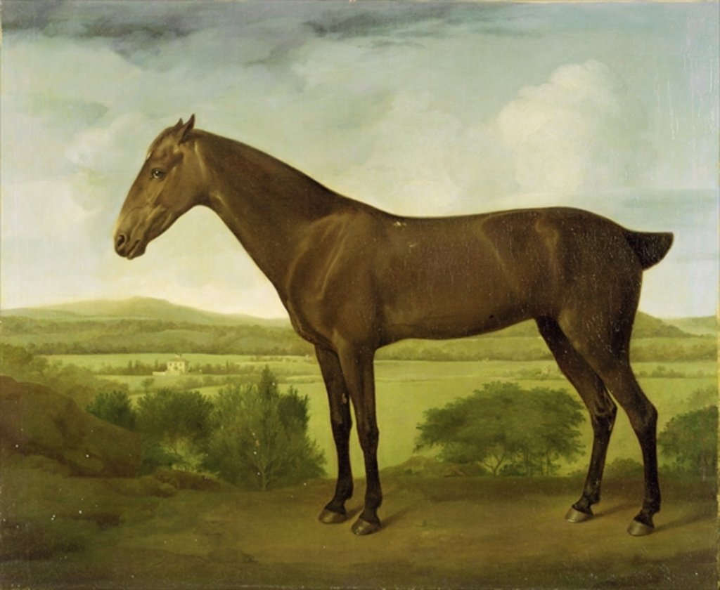Detail of Brown Horse in a Hilly Landscape, c.1780-1800 by English School
