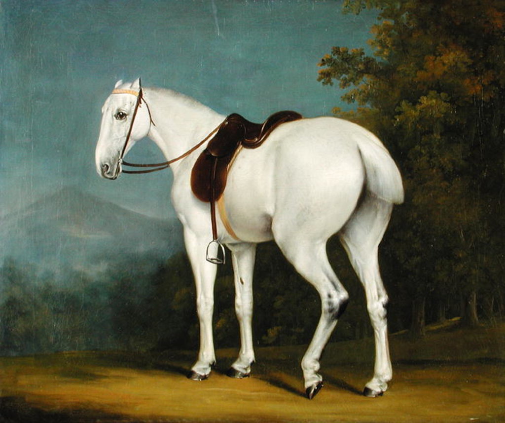 Detail of A Lady's Grey Hunter, c.1806 by Jacques-Laurent Agasse