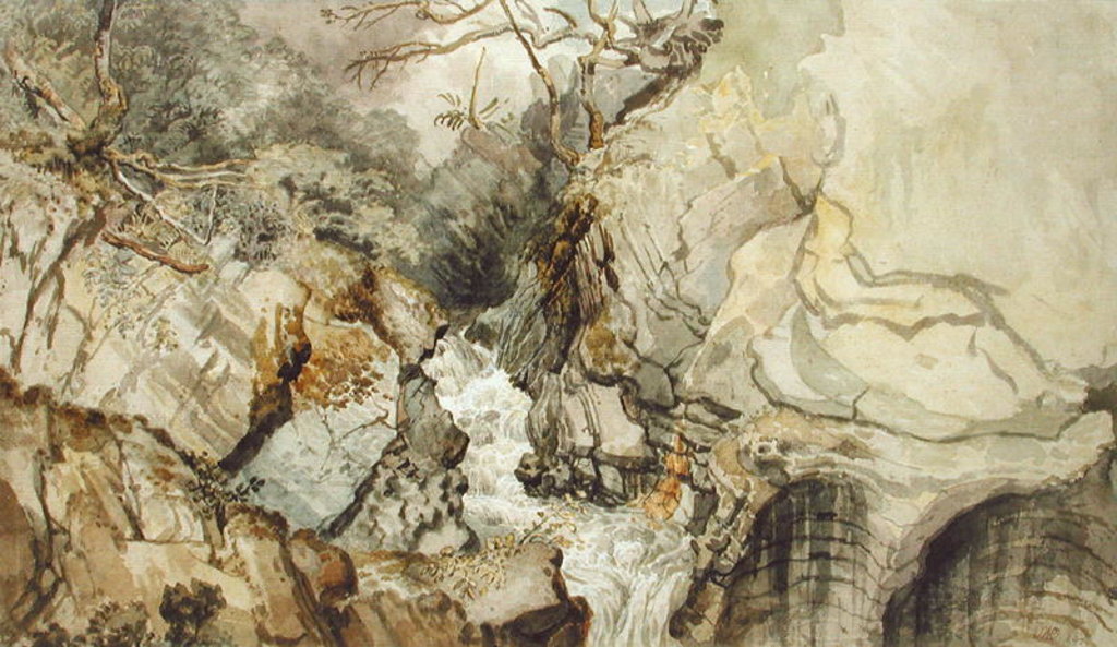 Detail of Looking Upwards from Devil's Bridge, Cardiganshire by James Ward