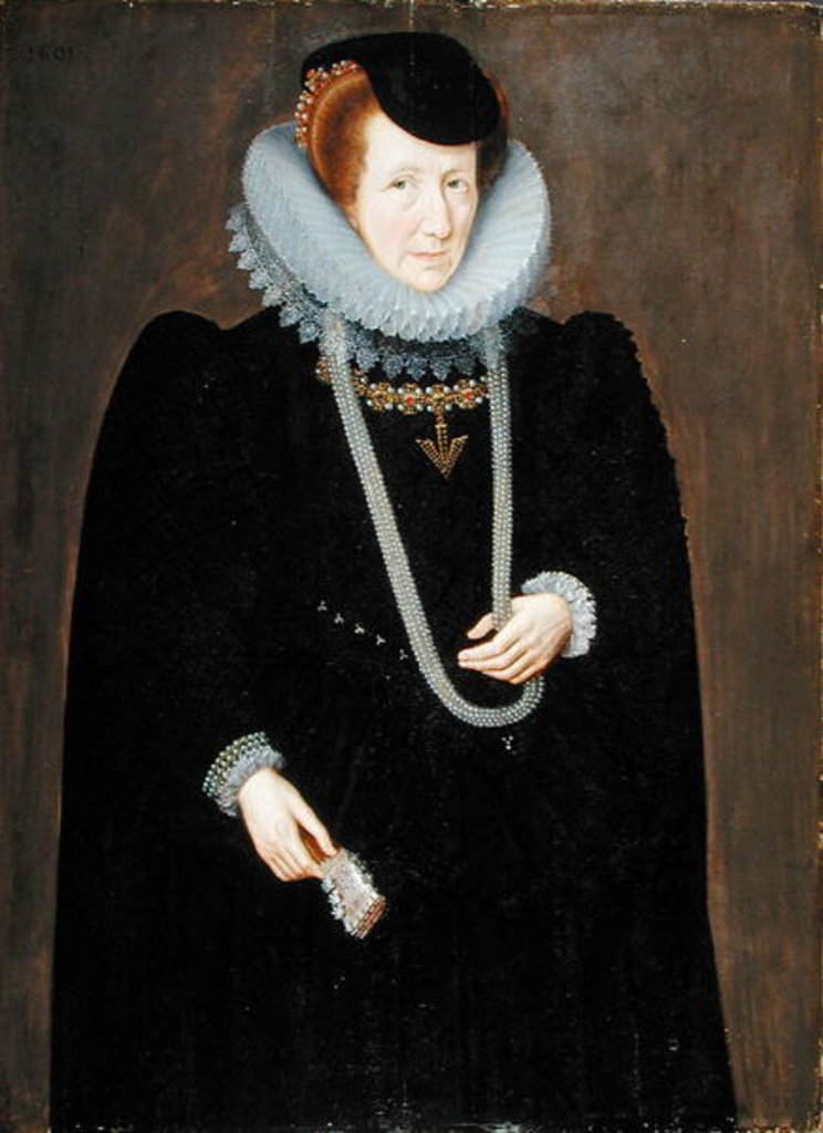 Detail of Portrait of a Woman, probably Eleanor Packington, Lady Scudamore, 1601 by Marcus the Younger Gheeraerts