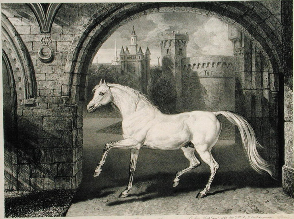 Detail of A Persian Horse by James Ward
