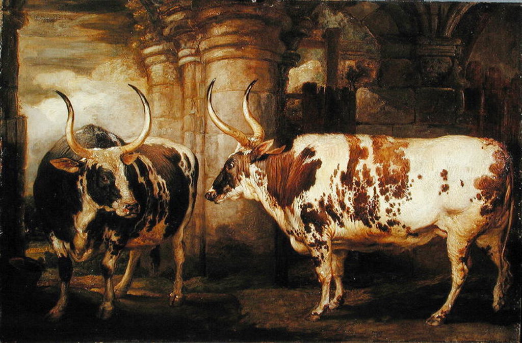 Detail of Portraits of two extraordinary oxen, the property of the Earl of Powis, 1814 by James Ward