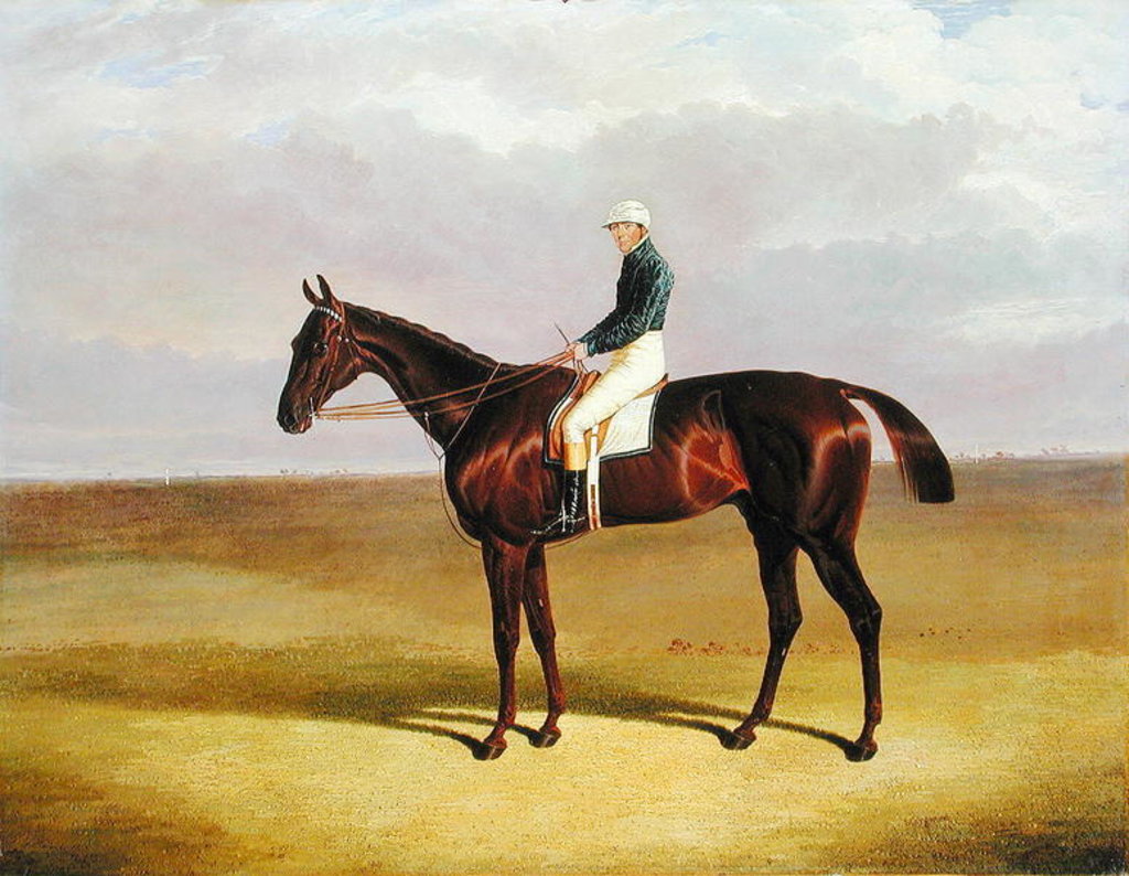 Detail of Margrave with James Robinson Up, 1833 by John Frederick Herring Snr