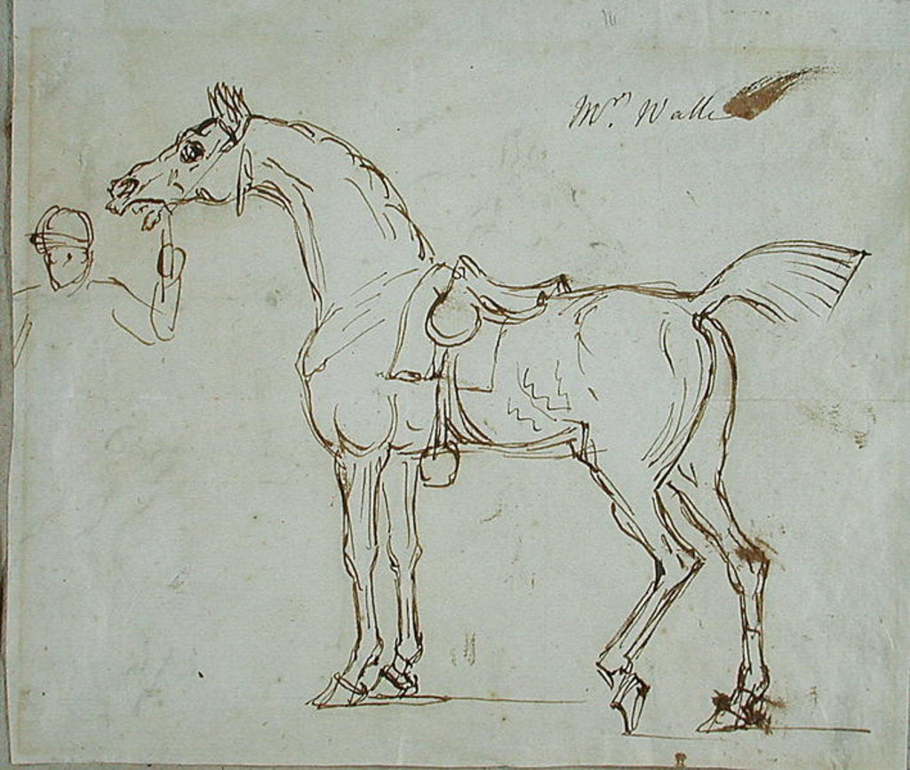 Detail of A Racehorse, Bridled and Saddled by James Seymour