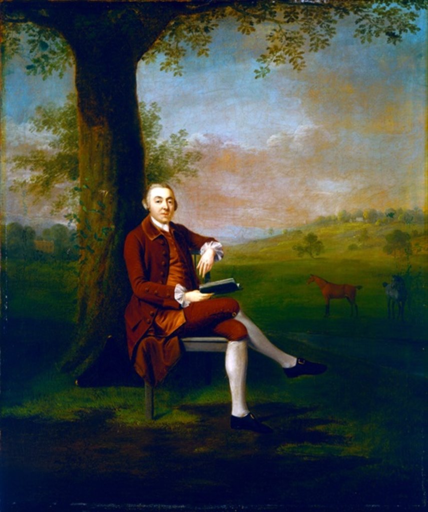 Detail of Portrait possibly of John Trevor, 3rd Baron Trevor of St. Anne's Hill, Surrey and Trevalyn Hall, Denbighshire, 1763 by Arthur Devis