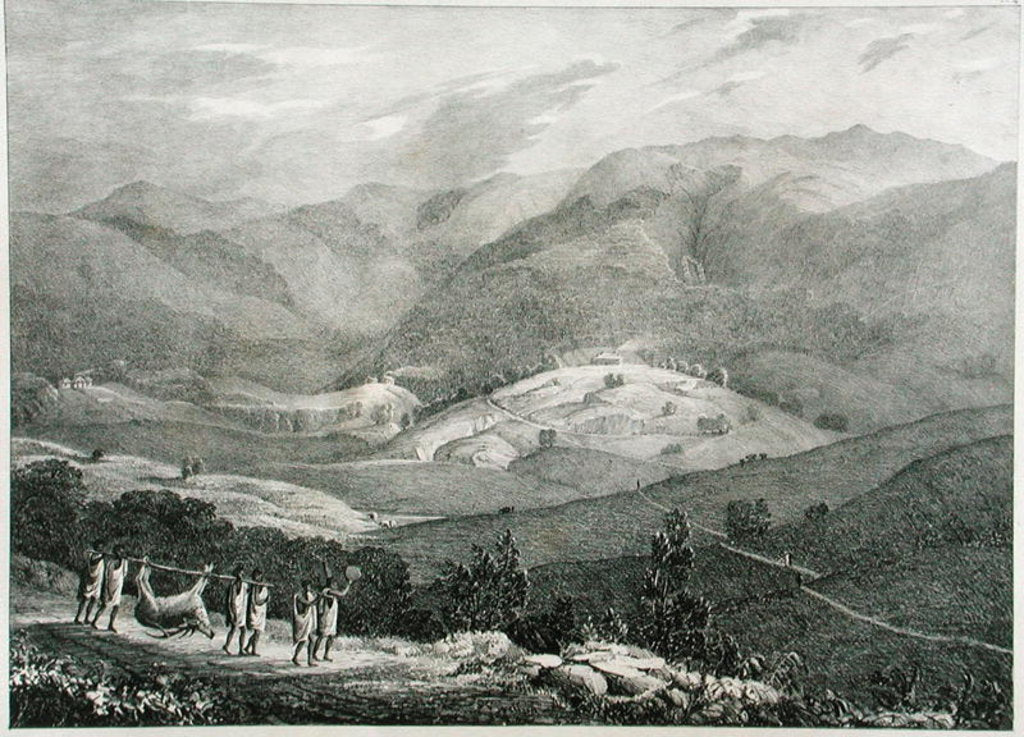 Detail of Ottacamund, View of the Great Dodabetta, Neelgherry Mountains by Captain E. A. (after) McCurdy
