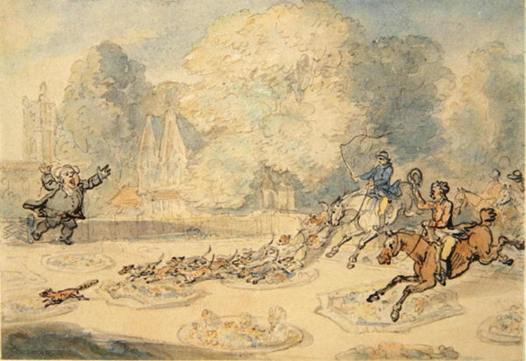 Detail of The Enraged Botanist by Thomas Rowlandson