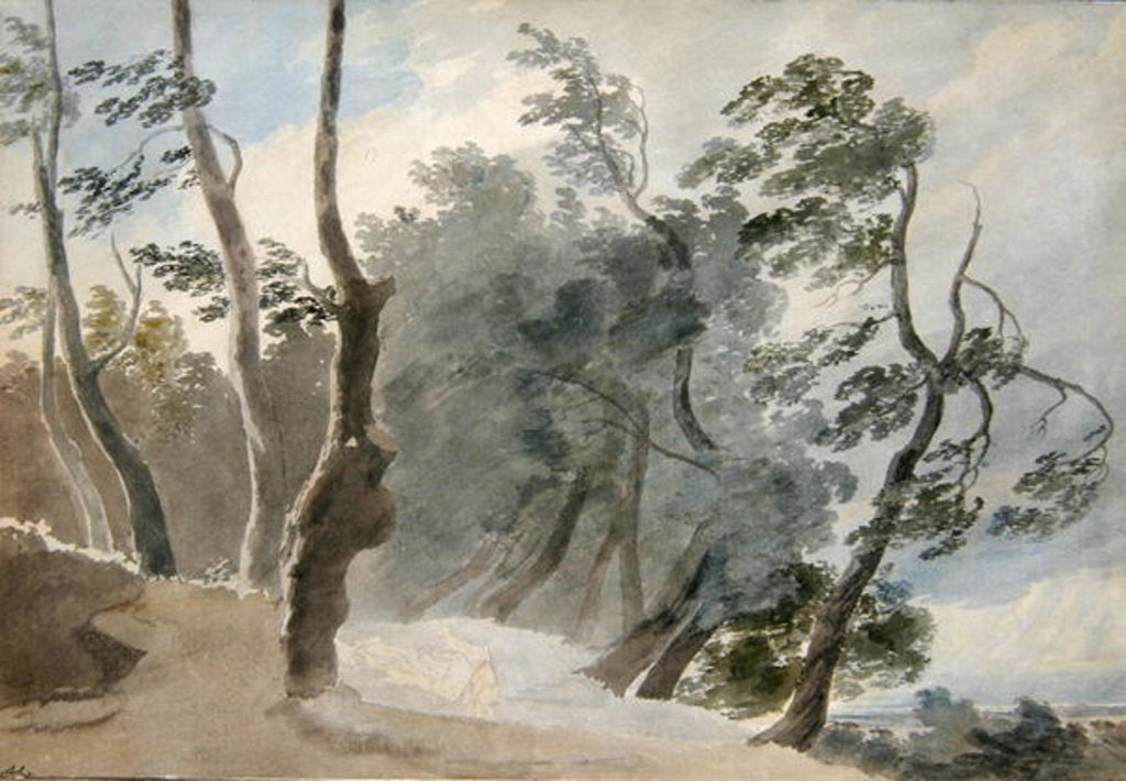 Detail of Galleria di Sopra, Albano by John Robert Cozens