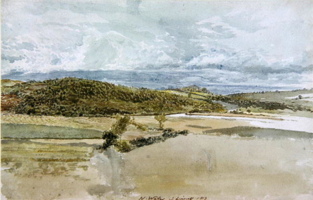 Detail of Landscape in North Wales, 1813 by John Linnell
