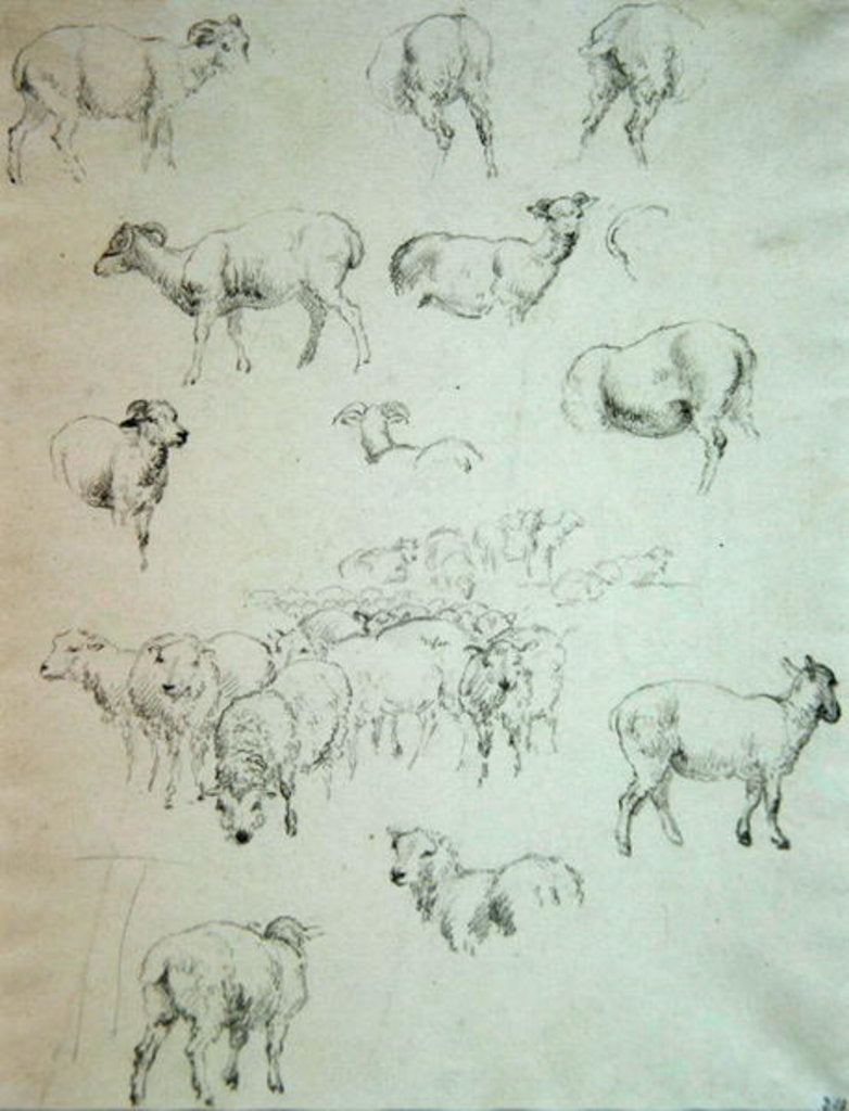 Detail of Flock of Sheep, after 1794 by Robert Hills