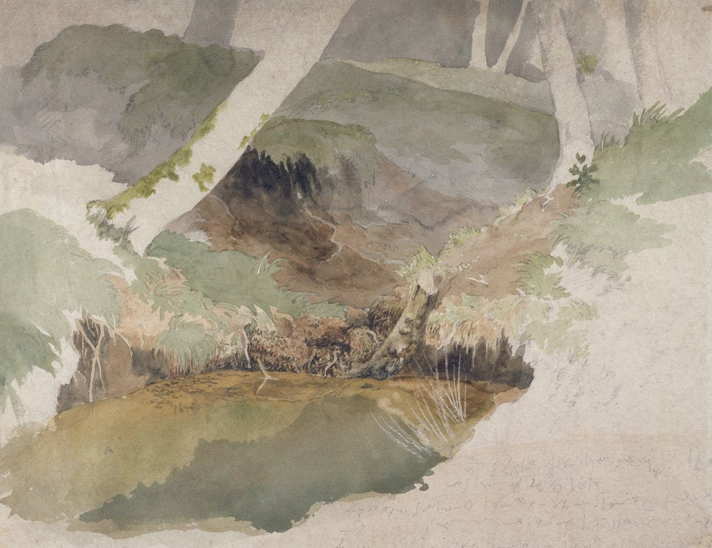 Detail of Forest Pool by Robert Hills