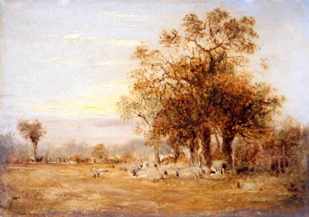 Detail of Sheep Grazing, 1835 by John Linnell