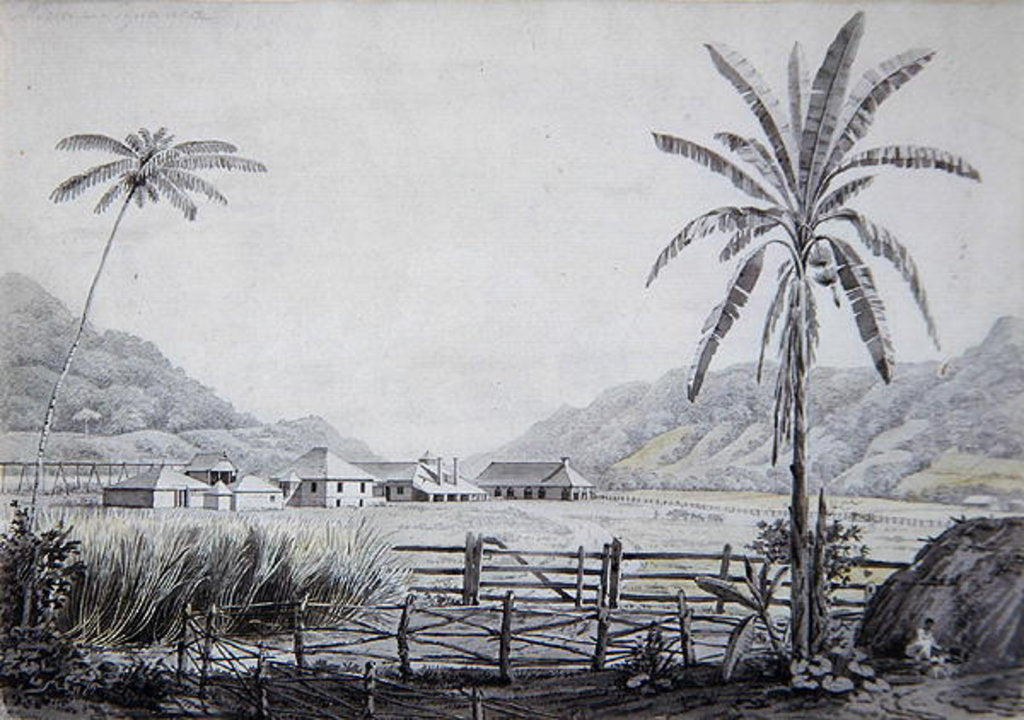 Detail of Halse Hall, Jamaica, c.1780 by English School