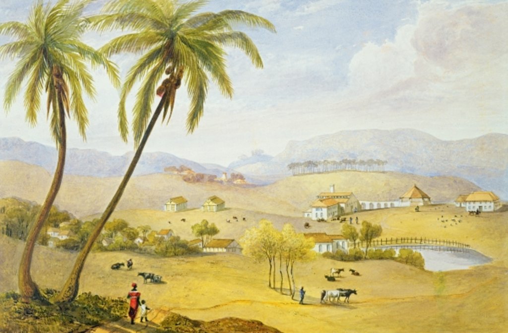 Detail of Haughton Court, Hanover, Jamaica, c.1820 by James Hakewill